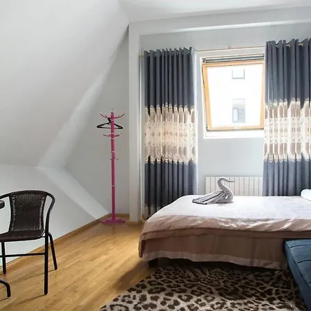 City Center Homestay Appartement
