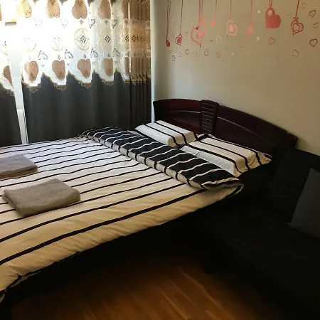 Apartman City Center Homestay *