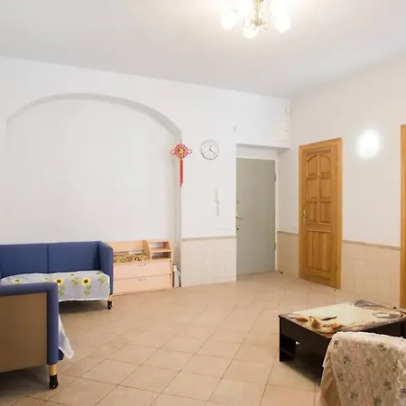Апартаменты City Center Homestay *