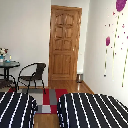 Апартаменты City Center Homestay